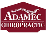 adamec_chiropractic_schenectady_best_chiropractor_back_pain_rotterdam